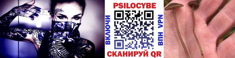 Галлюциногенные грибы GOLDEN TEACHER  Удачный 